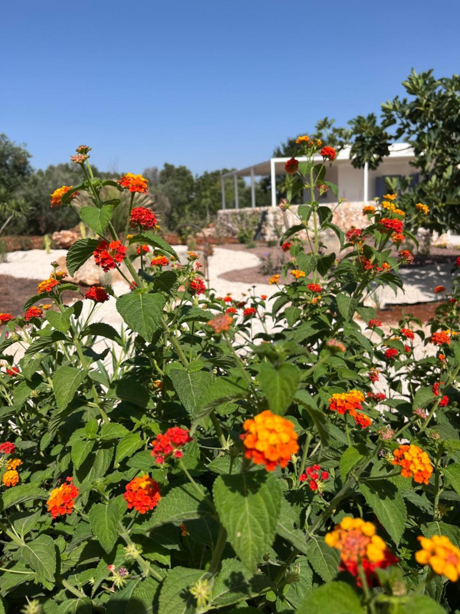 I Trulli Di Alice Βίλα Ceglie Messapica Εξωτερικό φωτογραφία